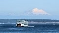 (111) Whidby Island Ferry